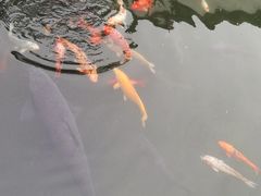 -胡雪岩故居