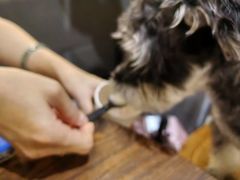 -沏点Trattoria意大利餐厅(新街口店)