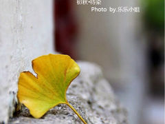 iphone_upload_pic-八大关景区