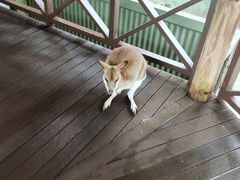 -热带雨林自然公园