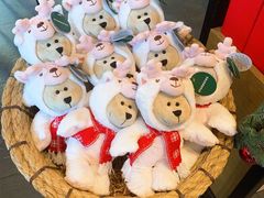 -星巴克臻选(思南公馆店)