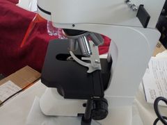 -沈阳国际会展中心管理有限公司