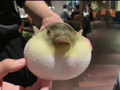 -肆月河豚·淮扬菜·湘菜(华天店)