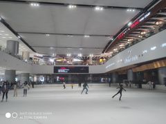 -TheRink大零溜冰场(IFS国金中心店)