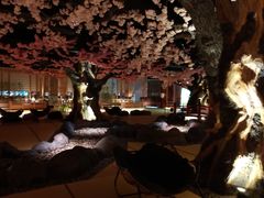 -蓝鲸湾汤泉(包河店)