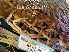 -得尔乐大酒店(南塘店)