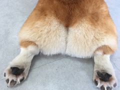 -汪说·狗咖(旺城大厦店)