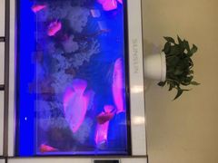 -华夏良子·足道SPA艾灸(三里屯店)