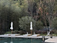 -紫藤园·天目湖大鱼头(南山竹海店)