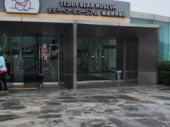 -济州岛泰迪熊博物馆