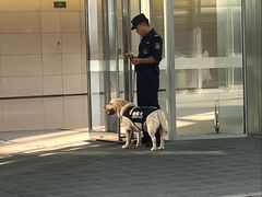 -深圳湾万象城(南山店)