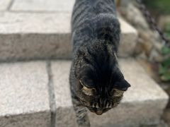 -北京凤凰岭