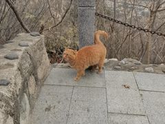 -北京凤凰岭