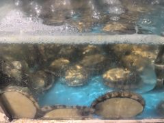 -鲜炉季港式打边炉(尚海湾店)