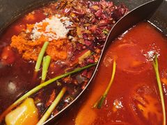 -朱光玉火锅馆(正弘城店)