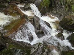 -牛背梁国家森林公园