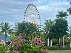 -三亚海昌梦幻海洋不夜城