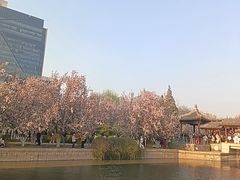 -元大都城垣遗址公园