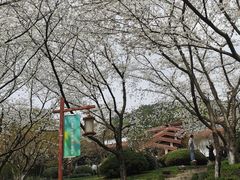 -中国茶叶博物馆(双峰馆区)