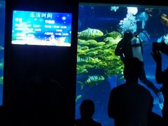 -太平洋海底世界博览馆·展览厅