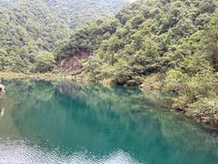 -大奇山国家森林公园