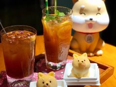 -柴犬高等学院·狗咖·柴犬售卖·宠物训练