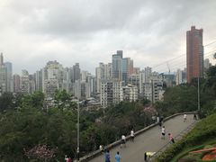 -东望洋炮台东望洋灯塔