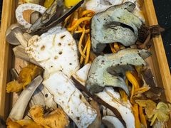 -草墩罗非鱼庄•野生菌•腊排骨(七星街上段店)