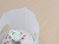 -雾与山茶(大禹城店)