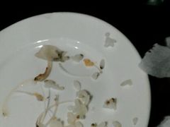 android_upload_pic-苍洱春饭店