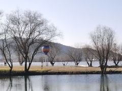 -长兴太湖图影湿地文化园