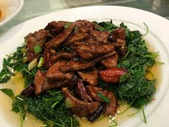 -梅龙镇酒家(南京西路总店)