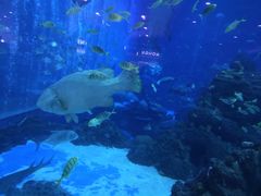 -成都浩海立方海洋公园