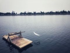 -龙舟池