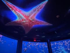 -沈阳海洋探索中心