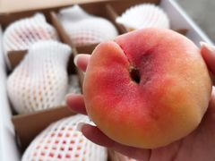 -上海龙吴水胜海发市场