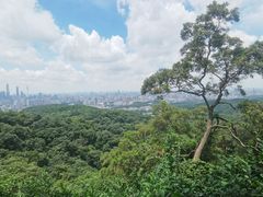 -点都德(广州白云山景区南门店)