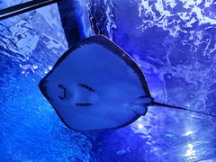 -多彩贵州城极地海洋世界