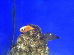 -洛阳龙门海洋馆