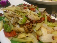 葱爆羊肉-阿拉丁新疆风味餐厅·清真(罗廊巷店)
