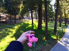 iphone_upload_pic-景山公园