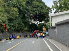 -长洲岛