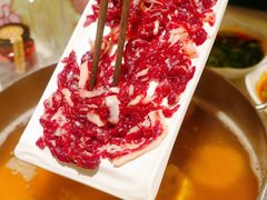 -今日牛事潮汕鲜牛肉火锅(瑞金店)
