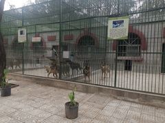 -保定市动物园