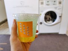 柚子气泡-XI·LaundryCafe 喜咖自助洗衣咖啡店