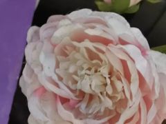 -季季红火锅(动壹店)