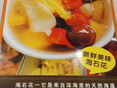 -凉凉海石花