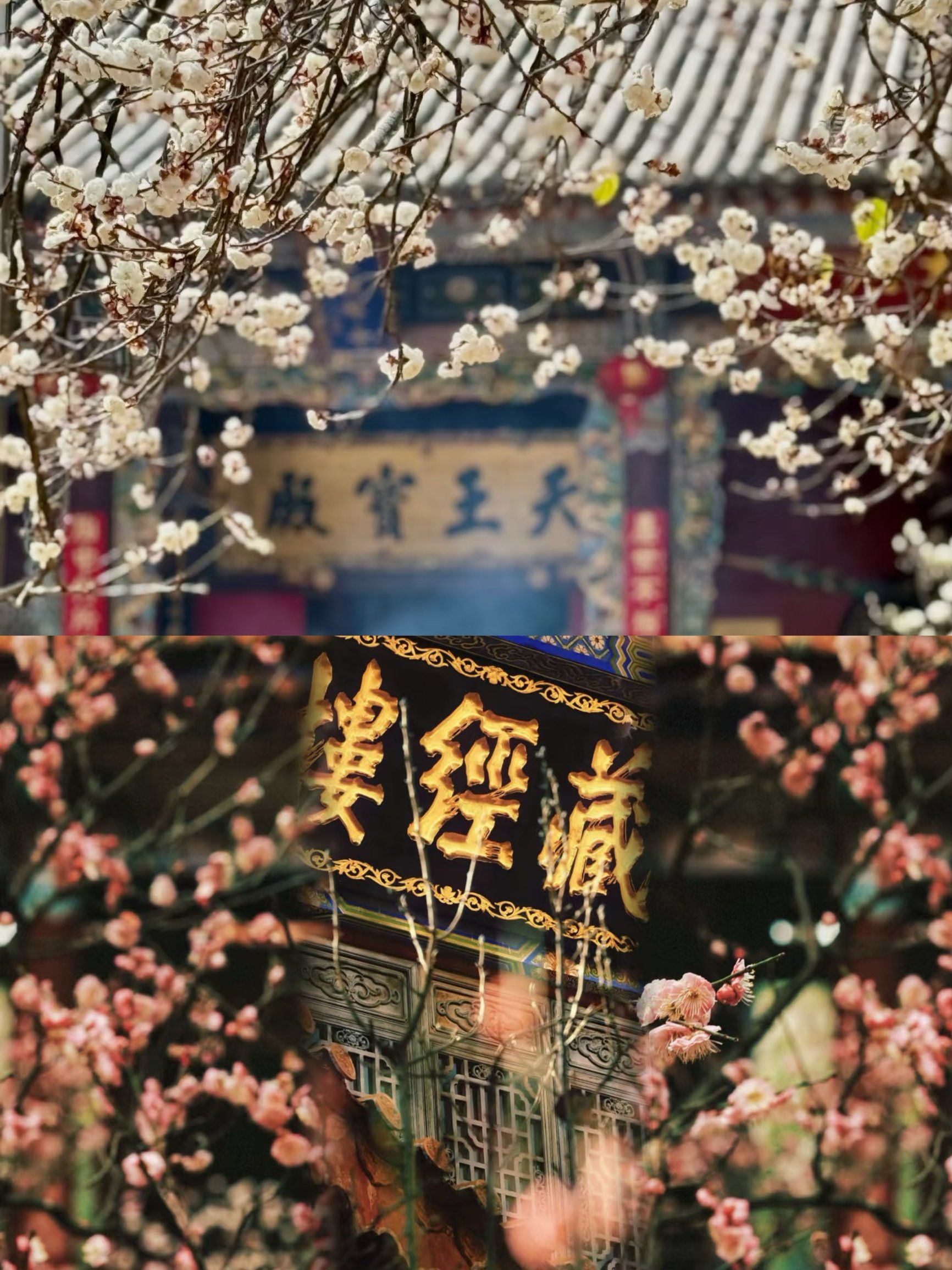 寺庙里的春和景明