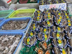-大湾区中央湿地公园-十九涌