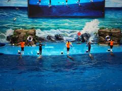 -多彩贵州城极地海洋世界